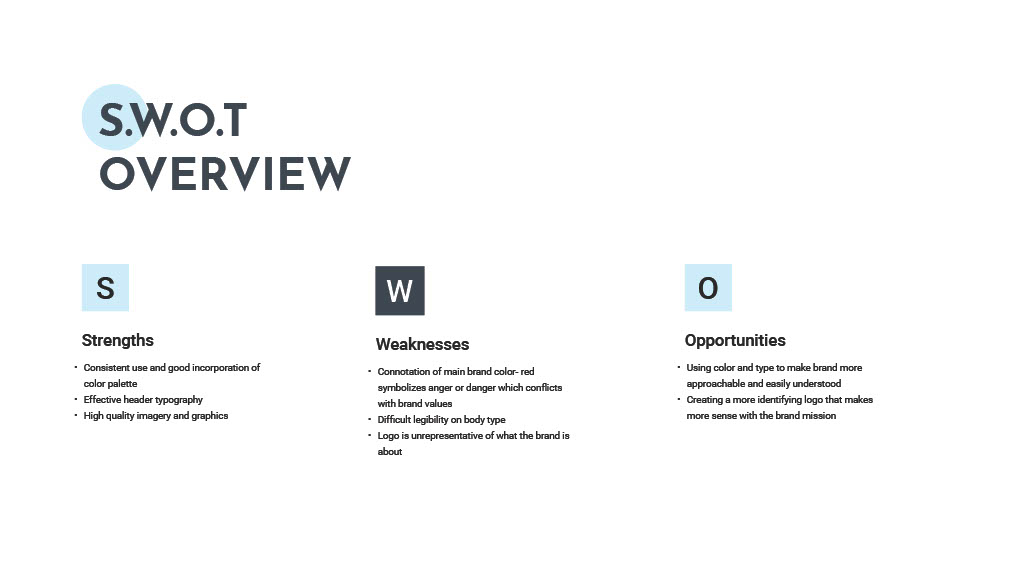 SWOT Analysis of Youth Shelter and Services